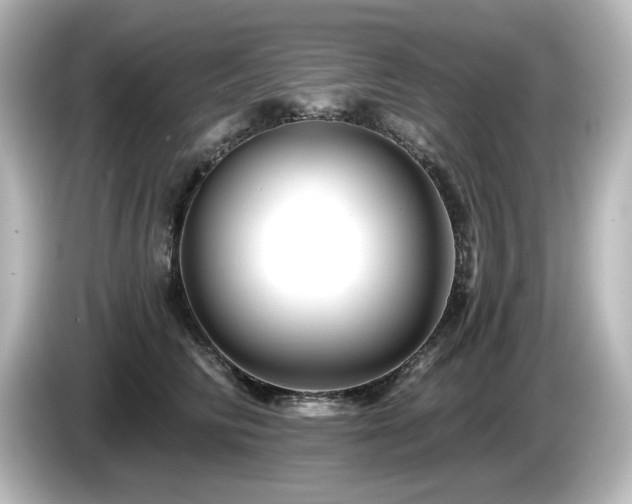 X0000085770710200703161143