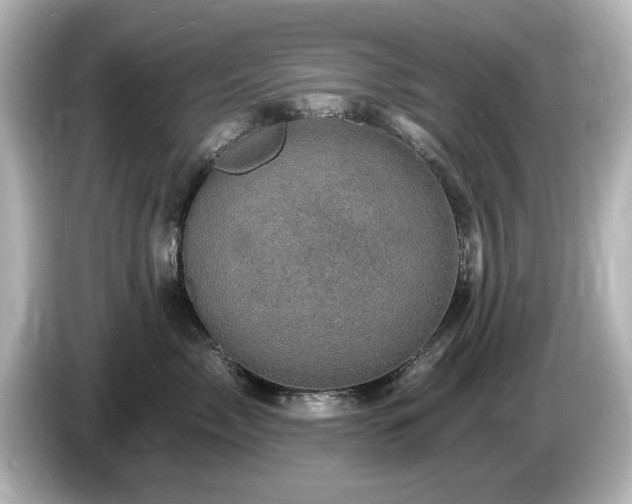 X0000085770717200703161143