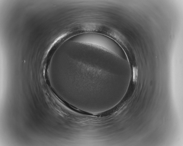 X0000085770723200703161142