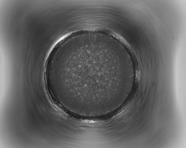 X0000085770724200703161142