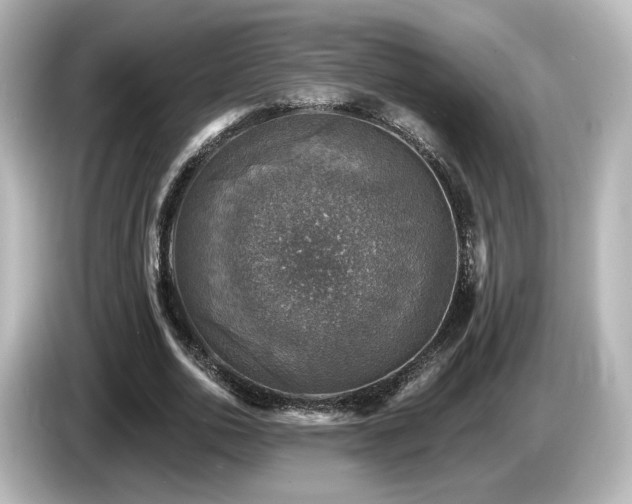 X0000085770726200703161142