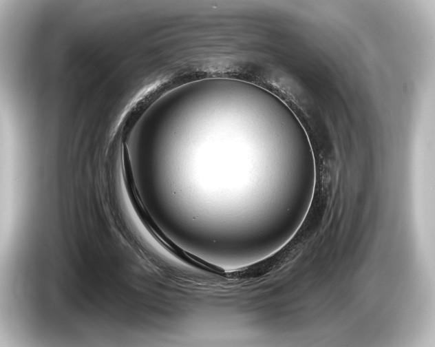 X0000085770727200703161142