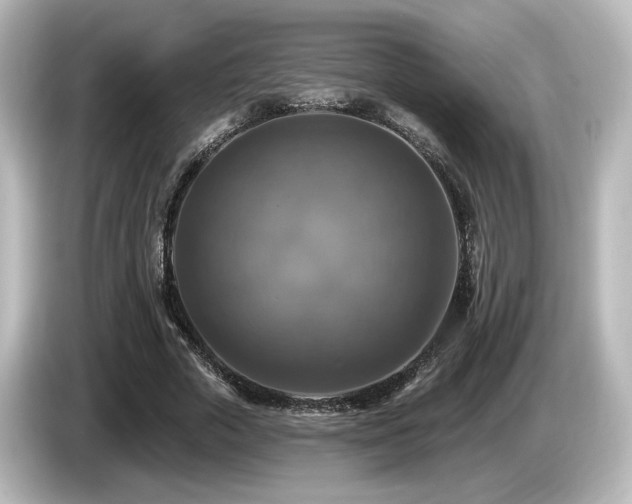 X0000085770729200703161142