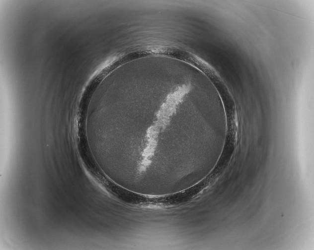 X0000085770730200703161142