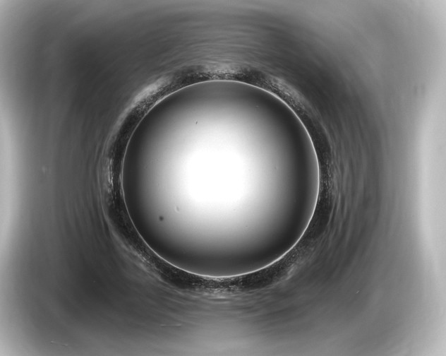 X0000085770731200703161142