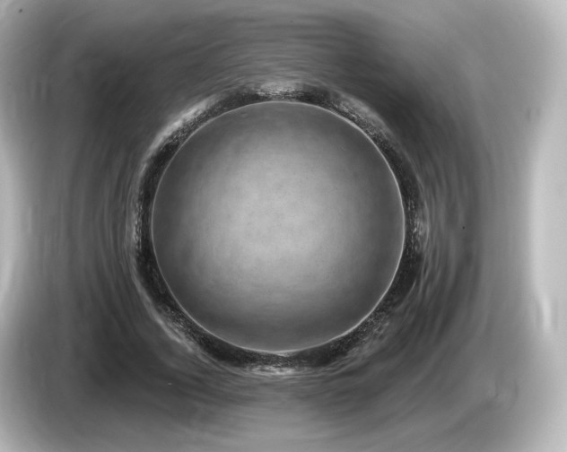 X0000085770732200703161142