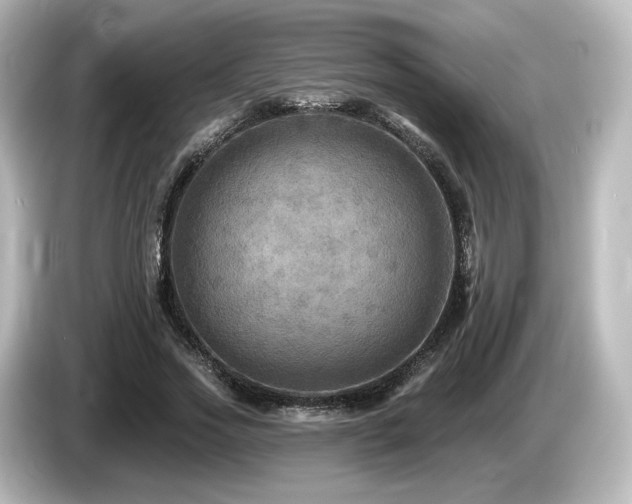 X0000085770733200703161142