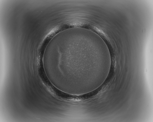 X0000085770735200703161142