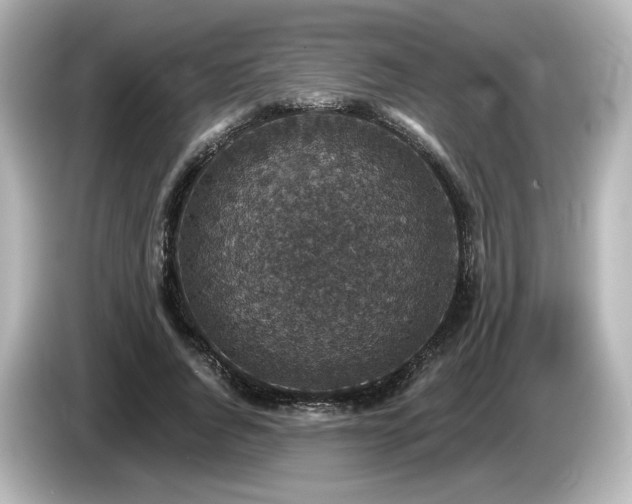 X0000085770736200703161142