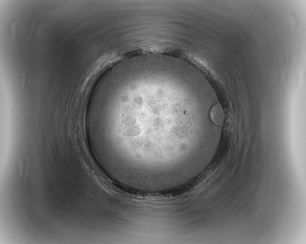 X0000085770738200703161142