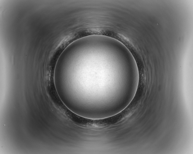 X0000085770739200703161142