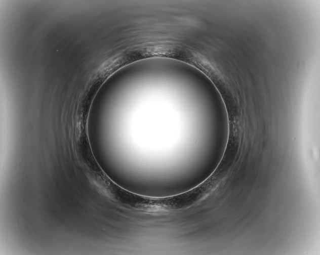 X0000085770741200703161142