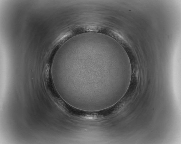 X0000085770744200703161142