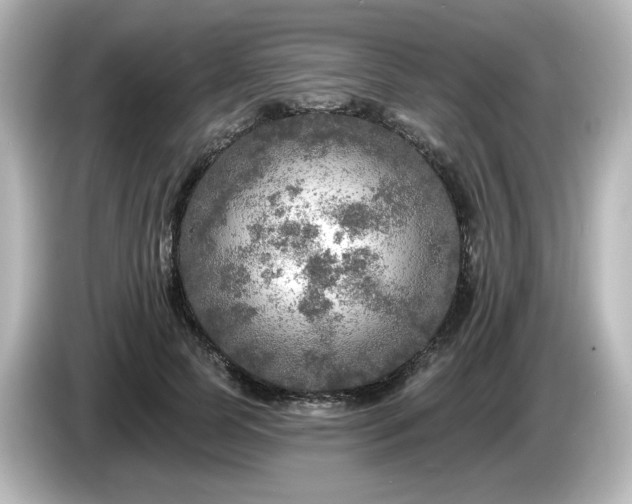 X0000085770745200703161142