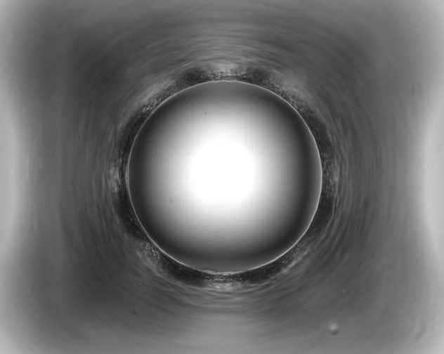 X0000085770746200703161142