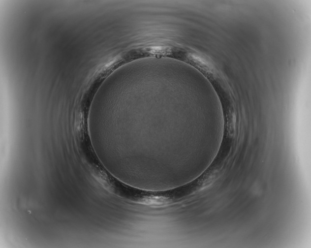 X0000085770748200703161142