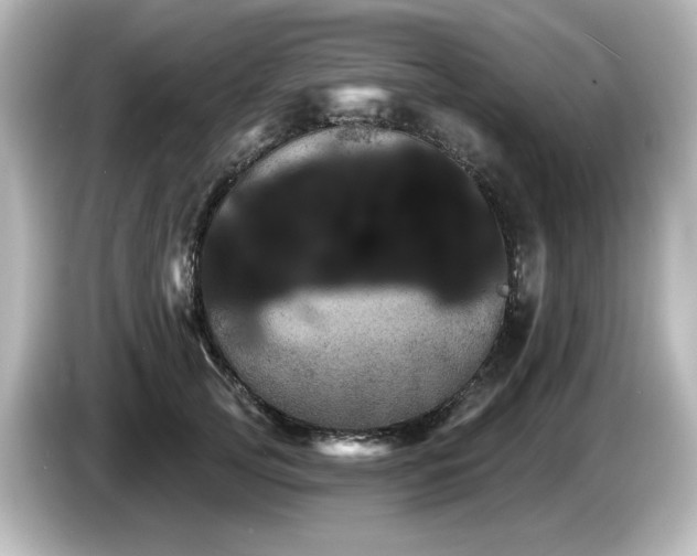 X0000085770753200703161143