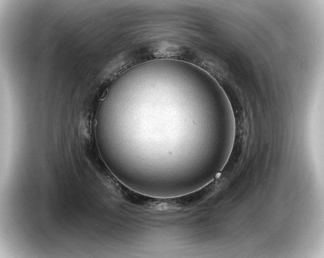 X0000085770755200703161143