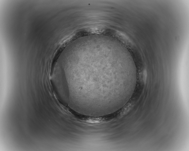 X0000085770757200703161143