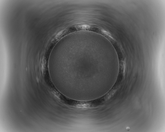 X0000085770760200703161143