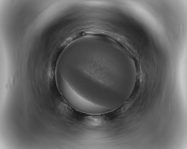 X0000085770763200703161143