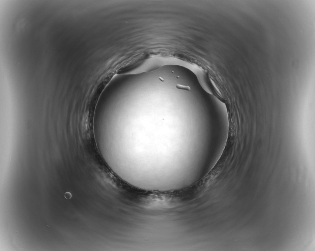 X0000085770764200703161143