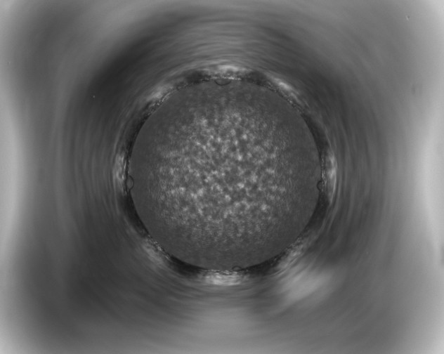 X0000085770767200703161143