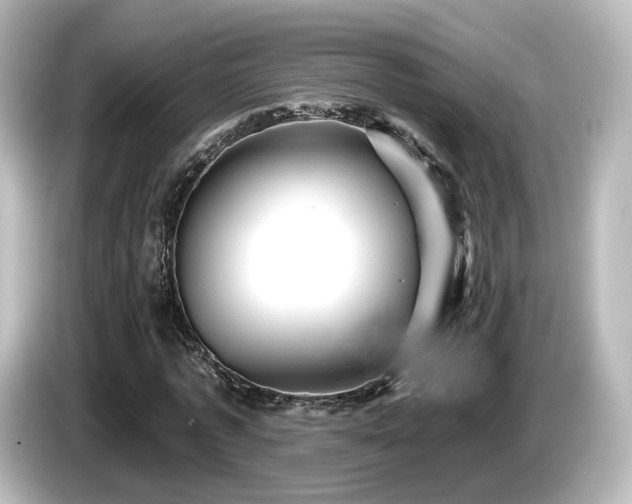 X0000085770773200703161142