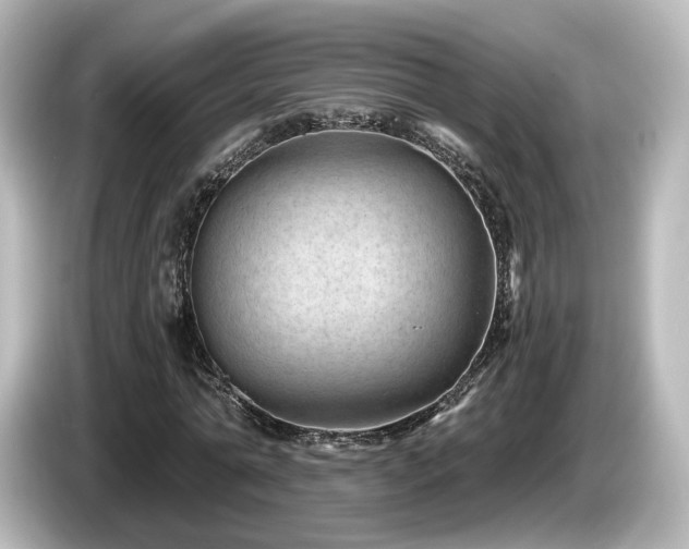 X0000085770774200703161142