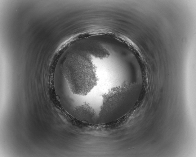 X0000085770775200703161142