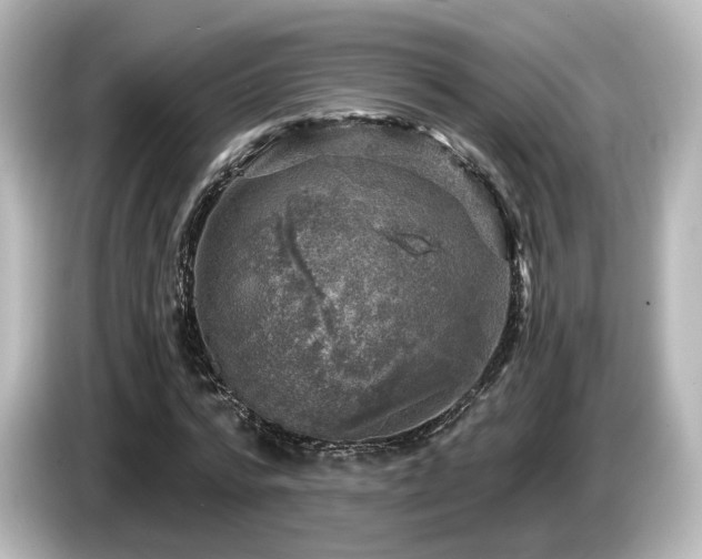 X0000085770776200703161142