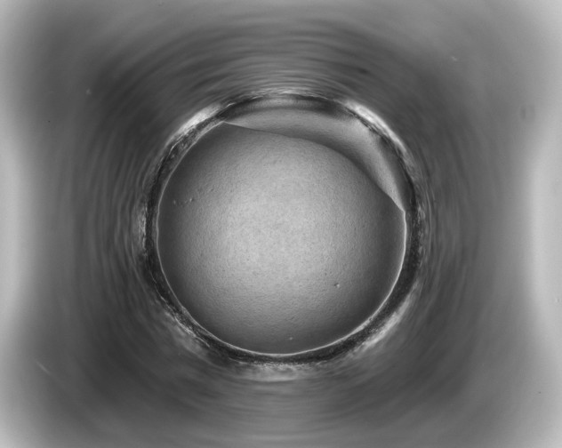 X0000085770777200703161142