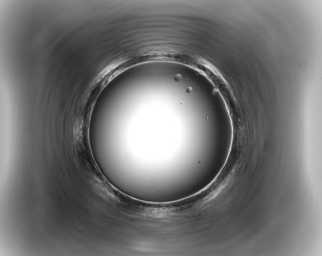 X0000085770778200703161142