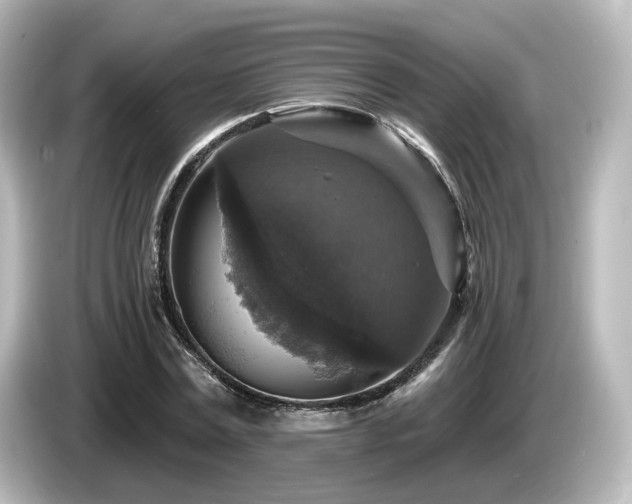 X0000085770779200703161142