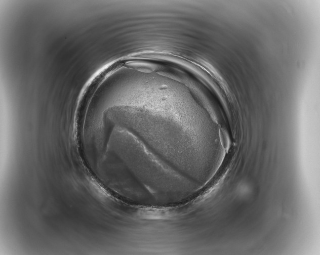 X0000085770780200703161142