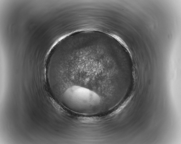 X0000085770781200703161142