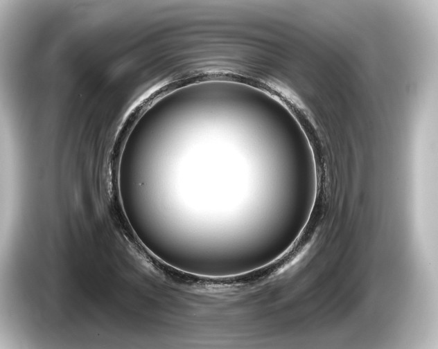 X0000085770782200703161142