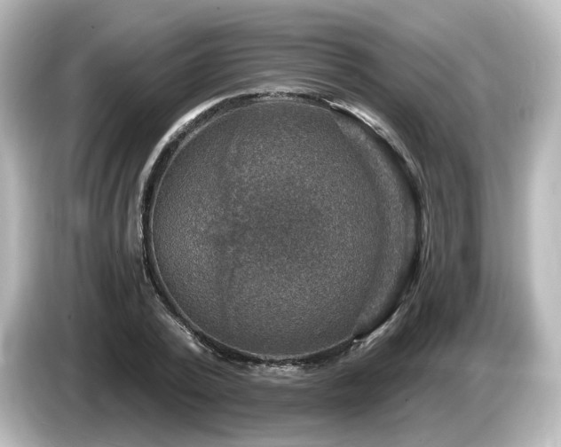 X0000085770784200703161142