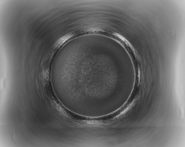 X0000085770785200703161142