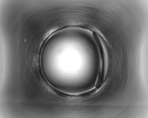 X0000085770786200703161142