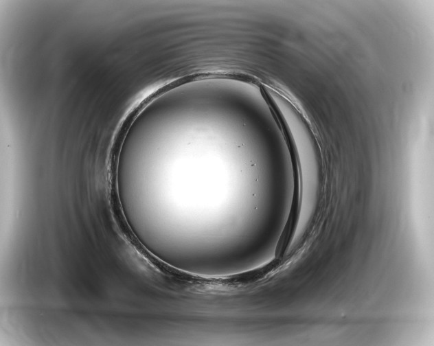 X0000085770787200703161142