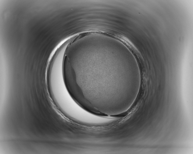 X0000085770788200703161142