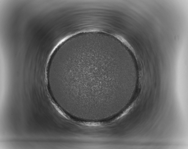 X0000085770789200703161142