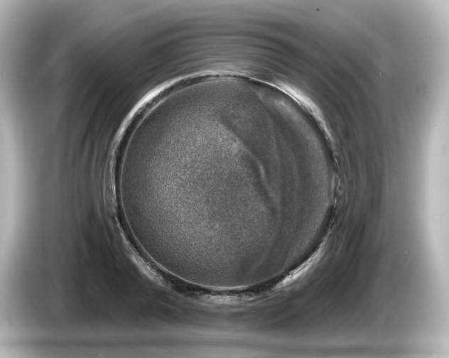 X0000085770792200703161142