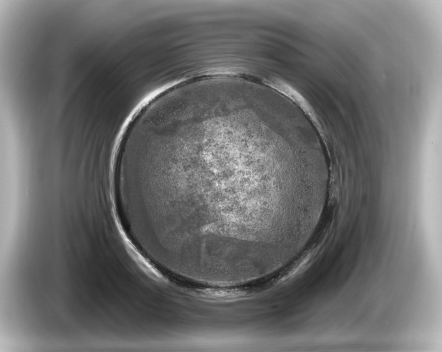 X0000085770795200703161142