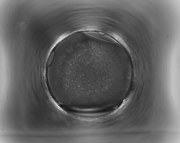 X0000085770797200703161142