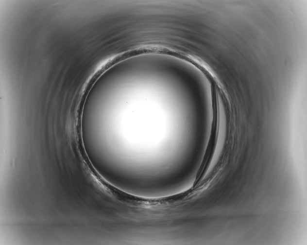 X0000085770799200703161142