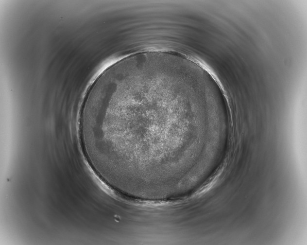 X0000085770803200703161142