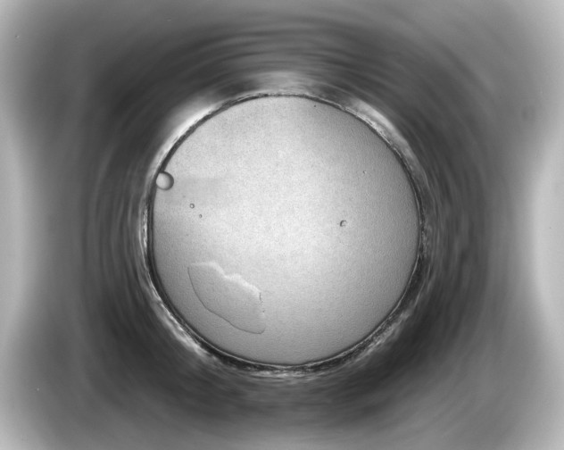 X0000085770804200703161141