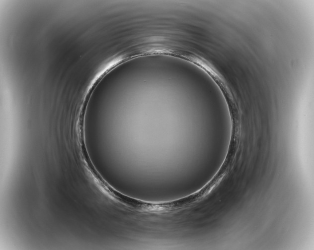 X0000085770806200703161141